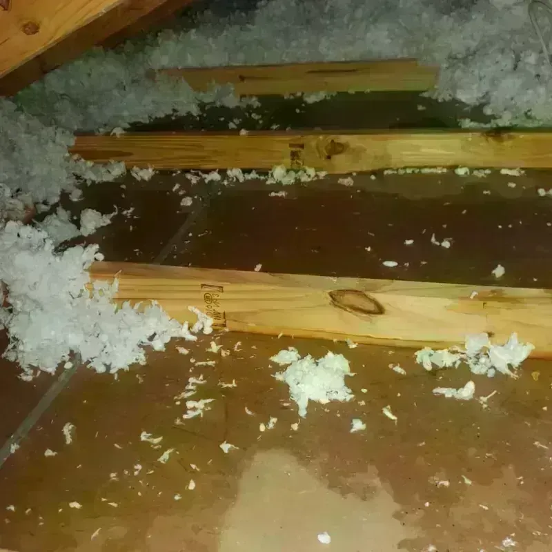 Attic Water Damage in Abbeville, SC