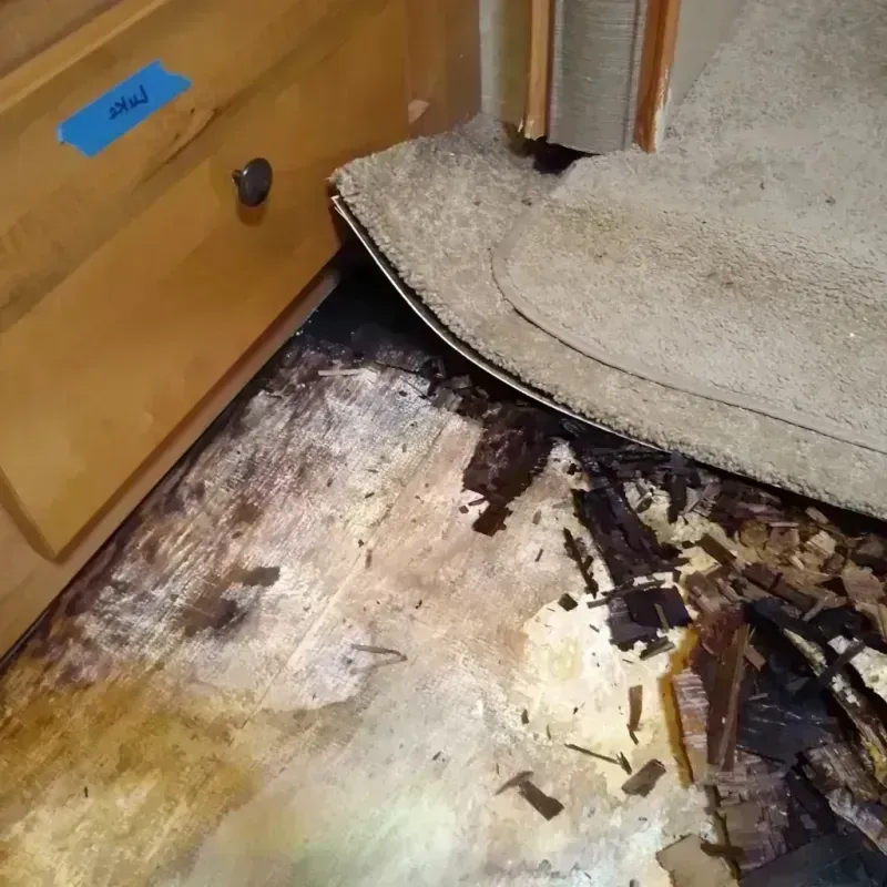 Wood Floor Water Damage in Abbeville, SC